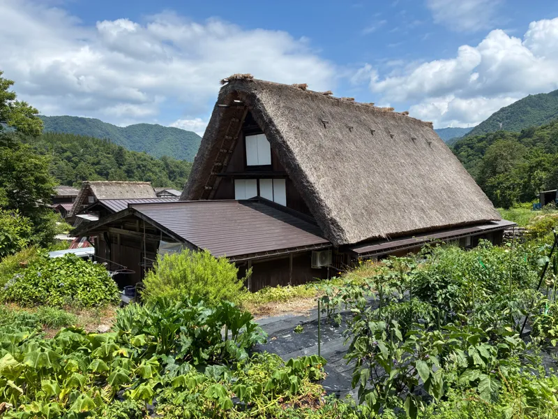 国際印度福神漬大学旅行2026夏②